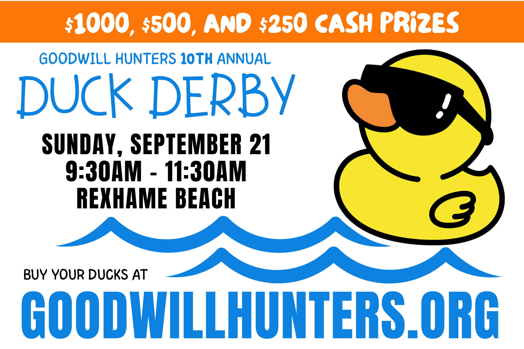 Campaign cover image for CLOSED 2025 ONLINE DUCK SALES