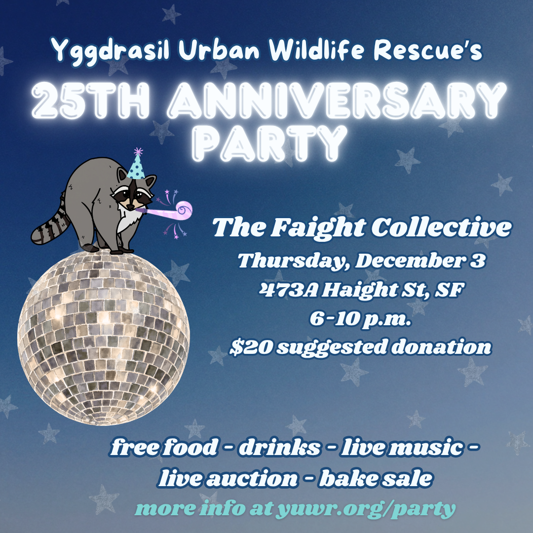 Campaign cover image for Yggdrasil Urban Wildlife Rescue's 25th Anniversary Party