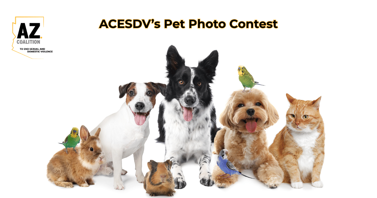 Campaign cover image for ACESDV's Pet Photo Contest