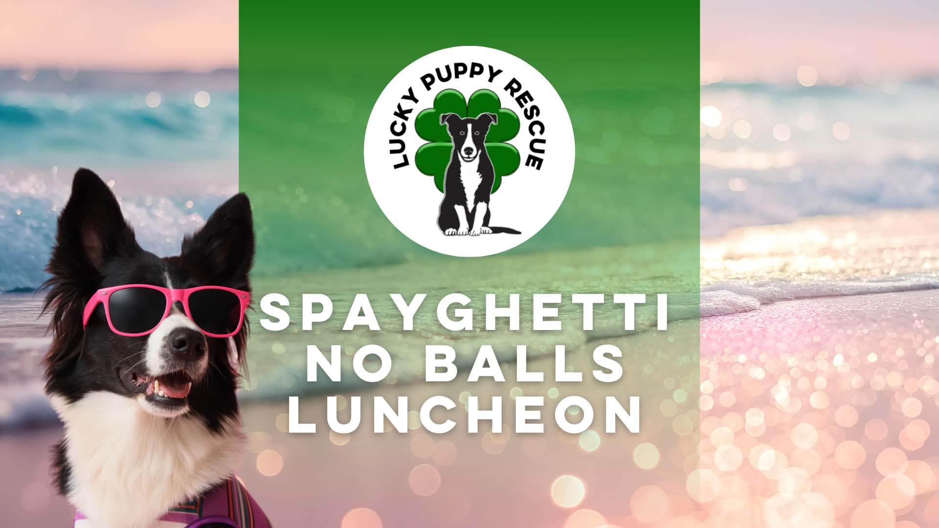 Campaign cover image for Spayghetti 2026