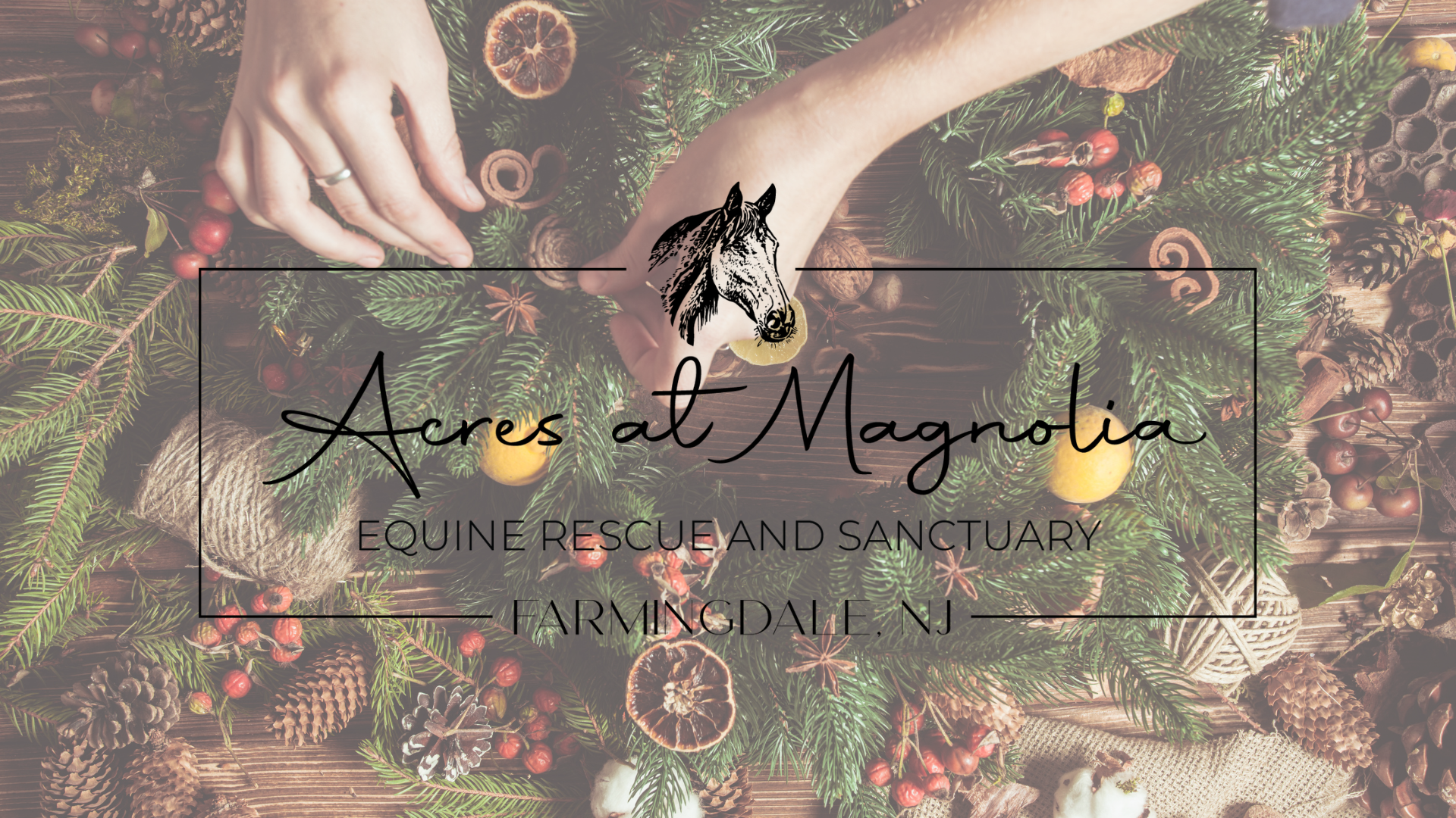 Campaign cover image for Holiday Wreath Workshop