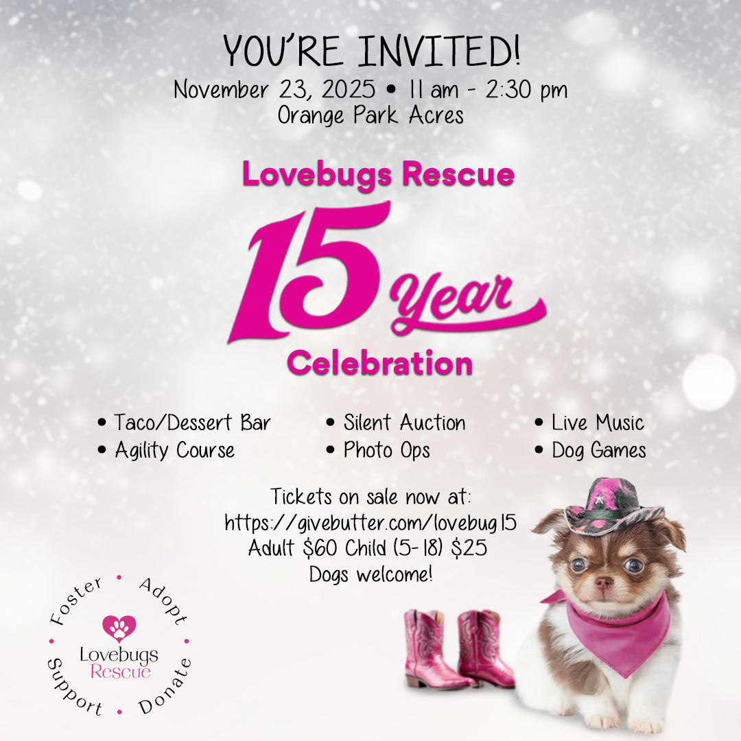 Campaign cover image for Lovebugs Rescue 15 Year Celebration