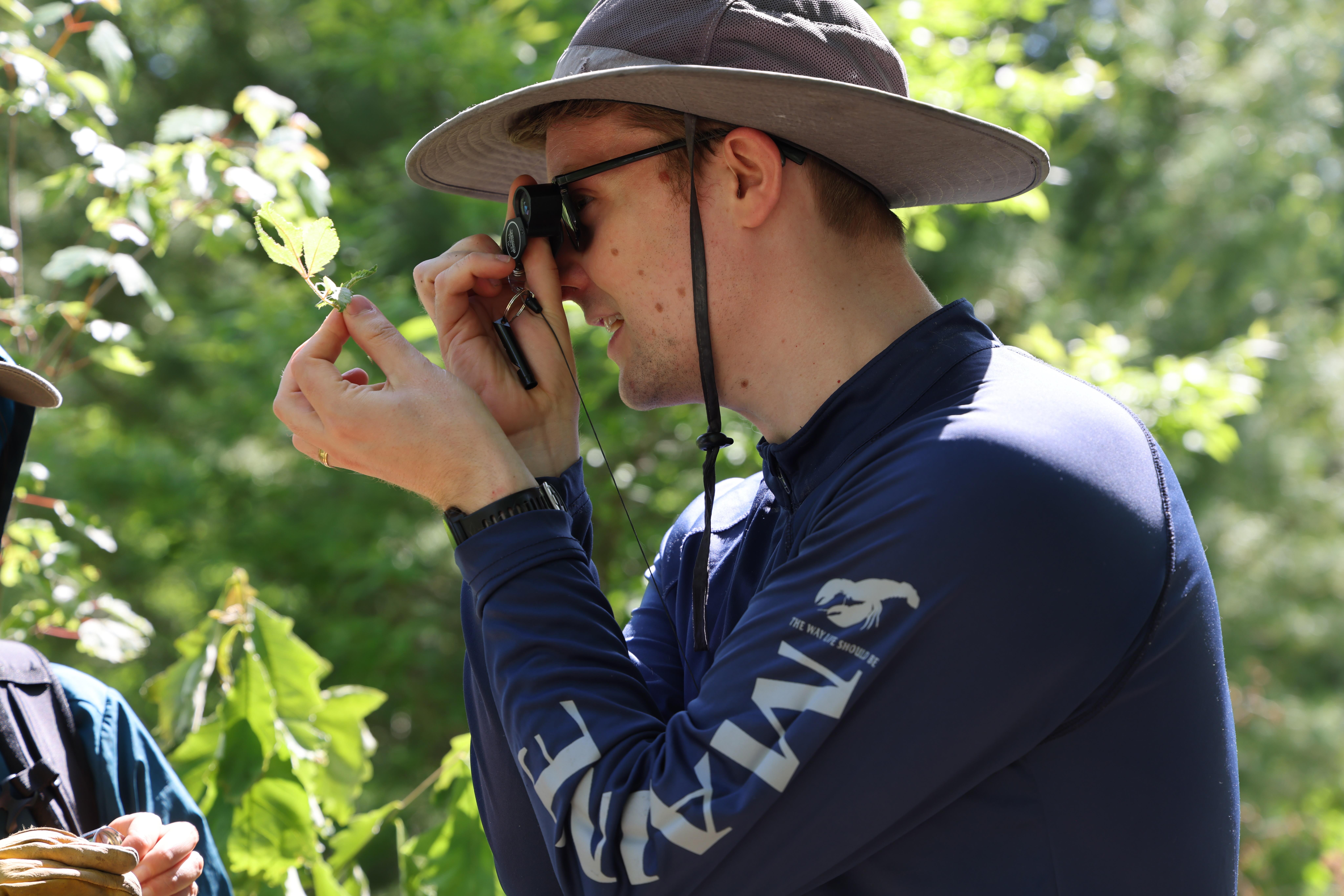 Campaign cover image for Native Plants of Callicoon Riverside Park