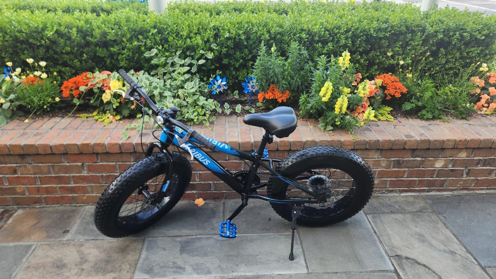 Campaign cover image for The "Little Blue" Bike Raffle