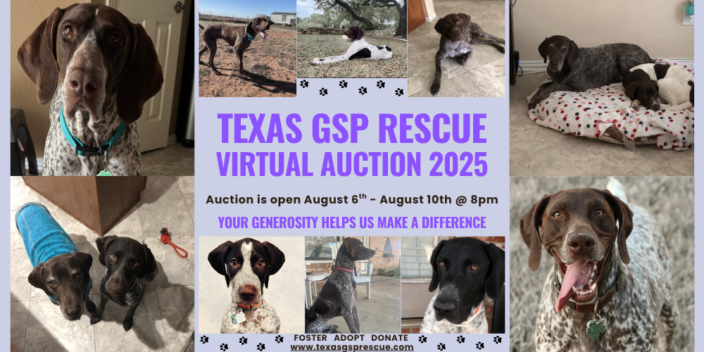 Campaign cover image for 2025 Texas GSP Rescue Virtual Auction
