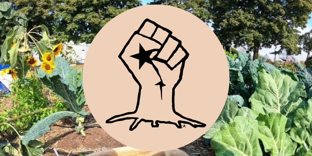 Campaign cover for Black Star Farmers