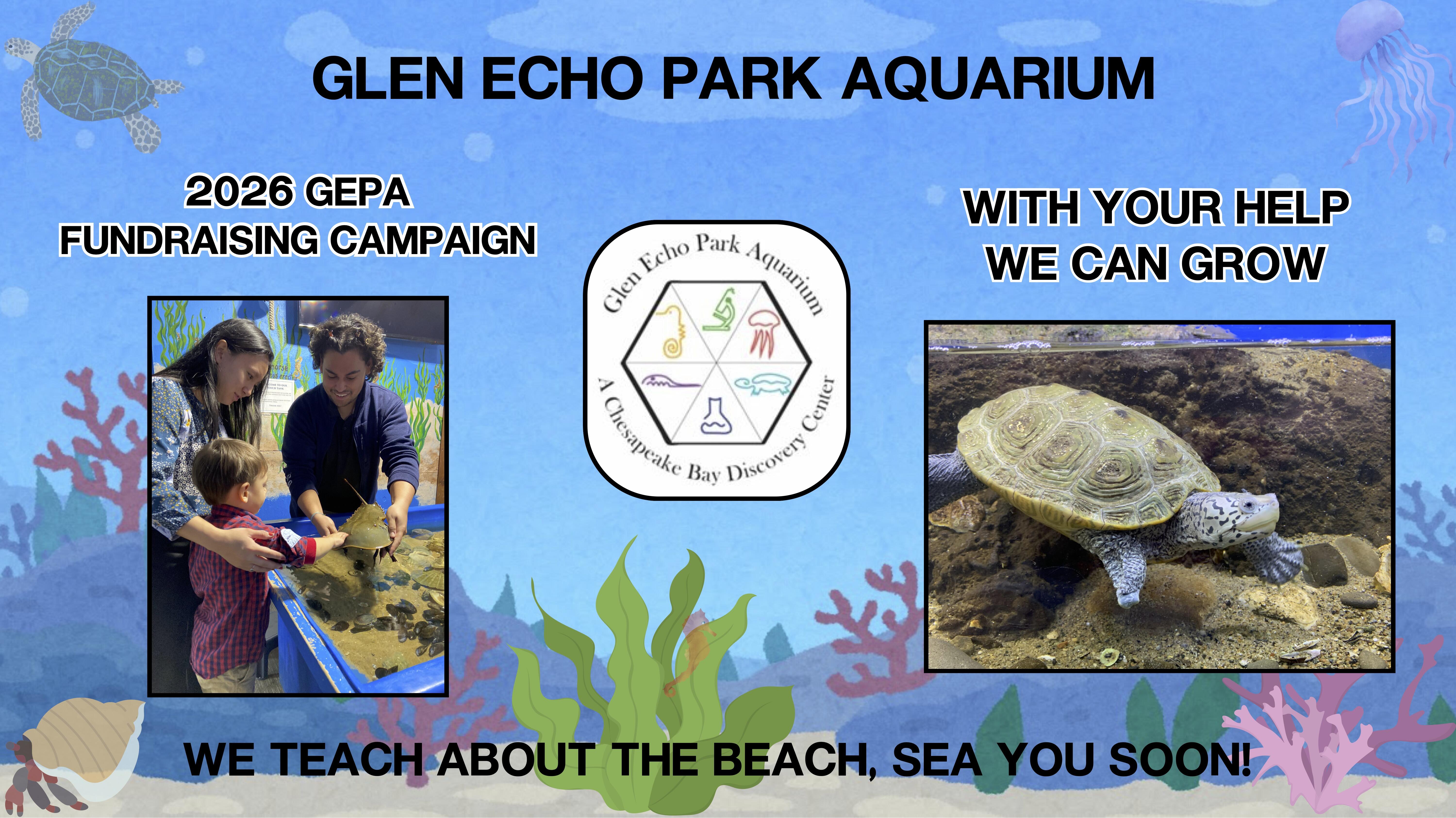 Campaign cover image for Ahoy, Mateys! Make a Splash with Glen Echo Park Aquarium!