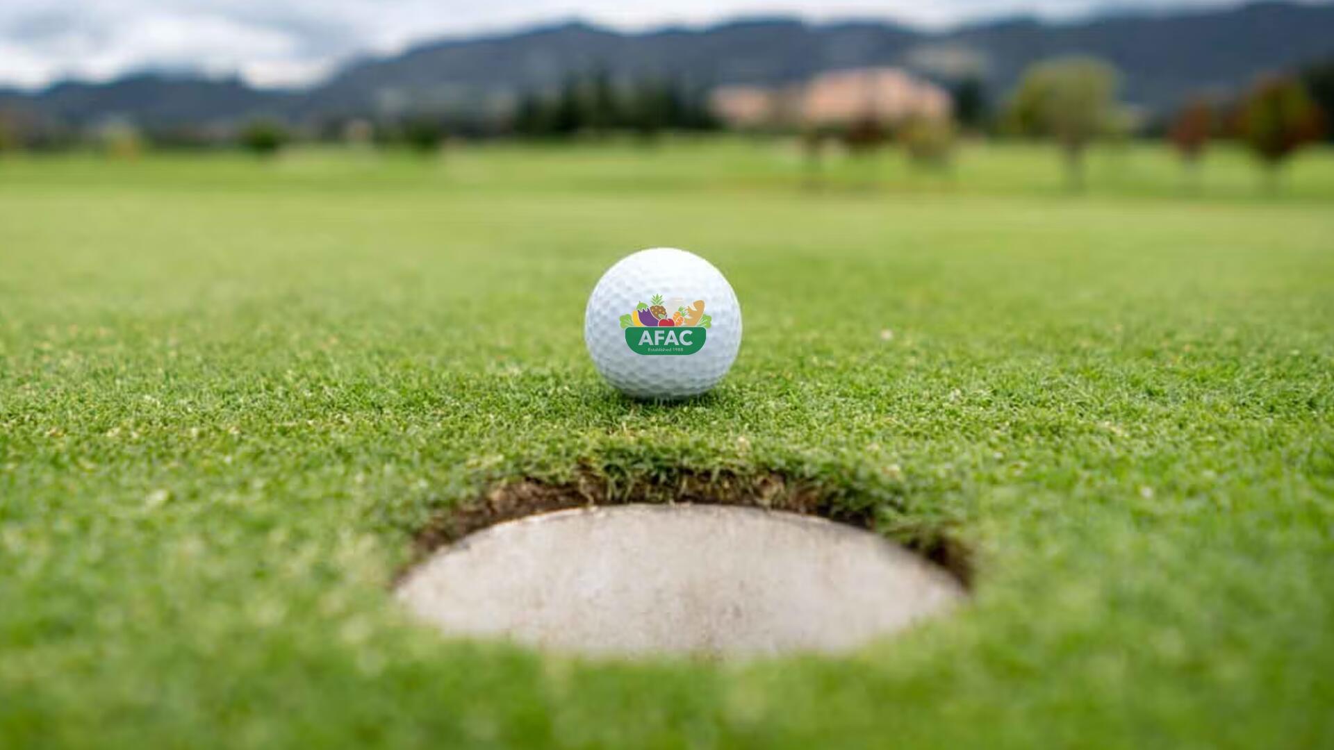 Campaign cover image for 12th Annual AFAC Golf Tournament