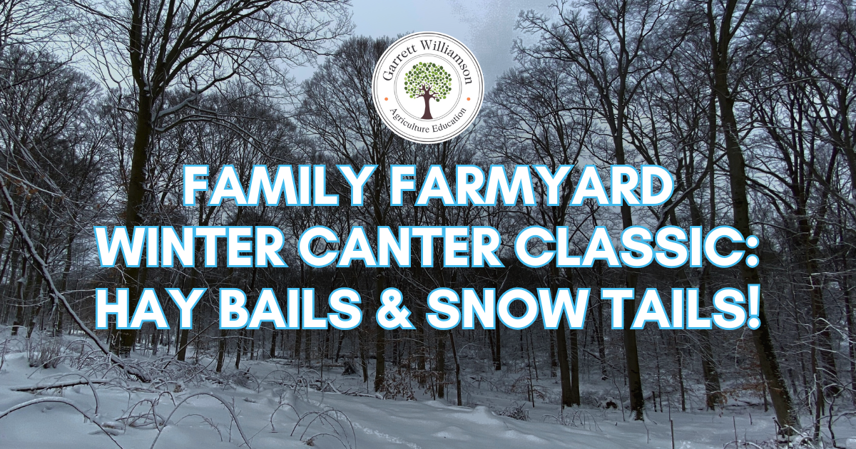 Campaign cover image for Family Farmyard - Winter Canter Classic: Hay Bails & Snow Tails!