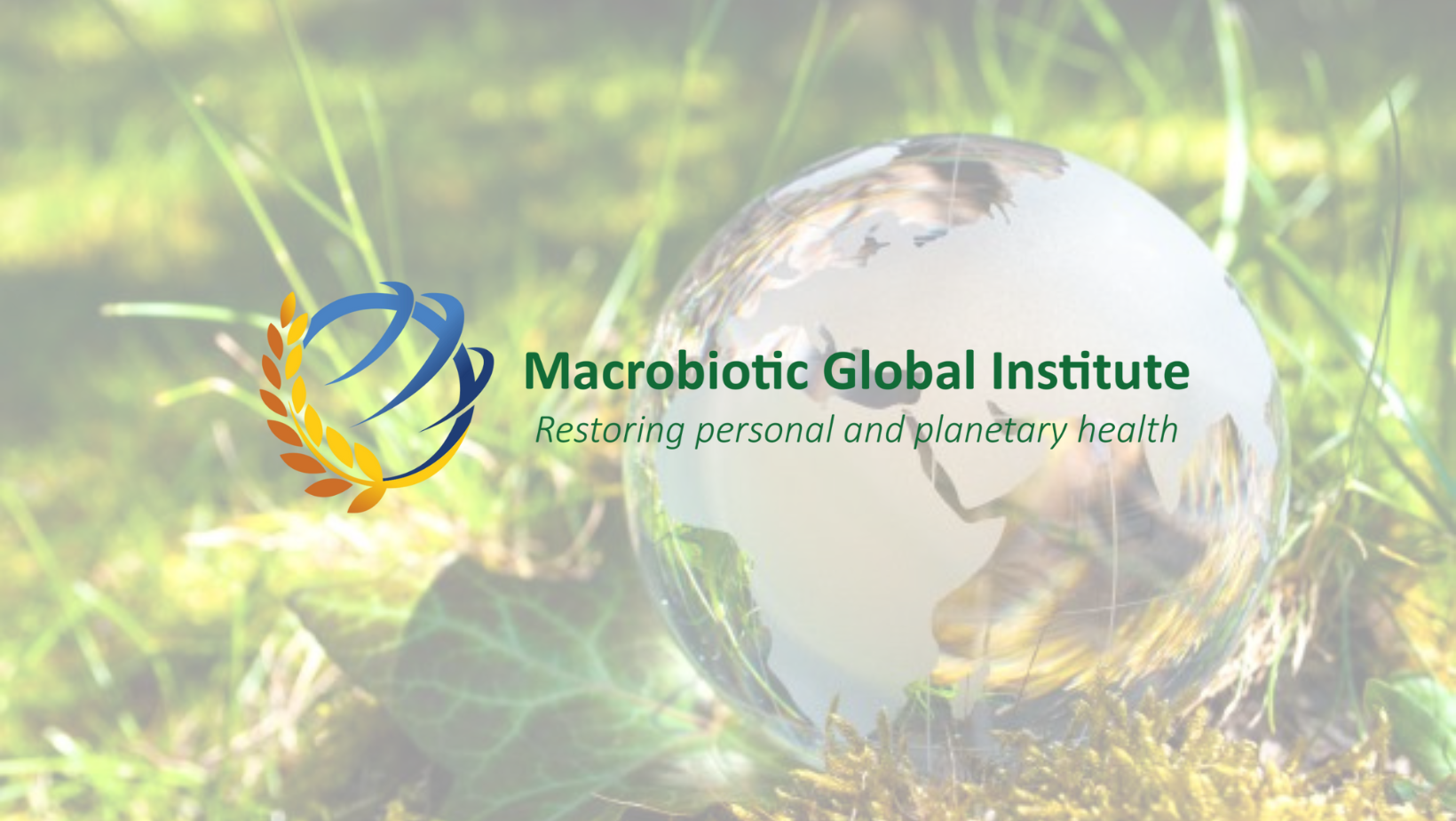 Campaign cover image for MGI - Donations