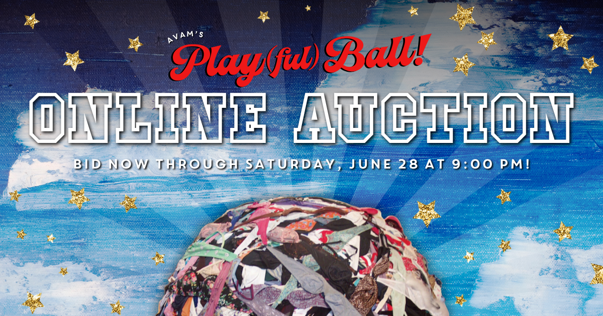 Campaign cover image for American Visionary Art Museum Play(ful) Ball