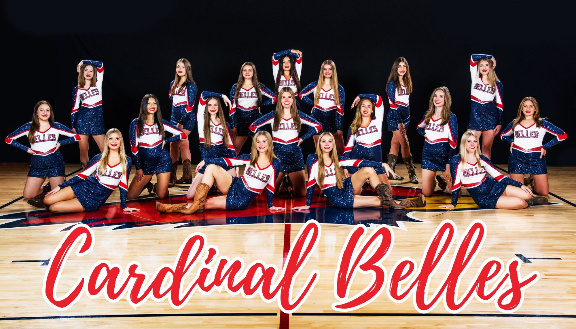 Campaign cover image for Cardinal Belles