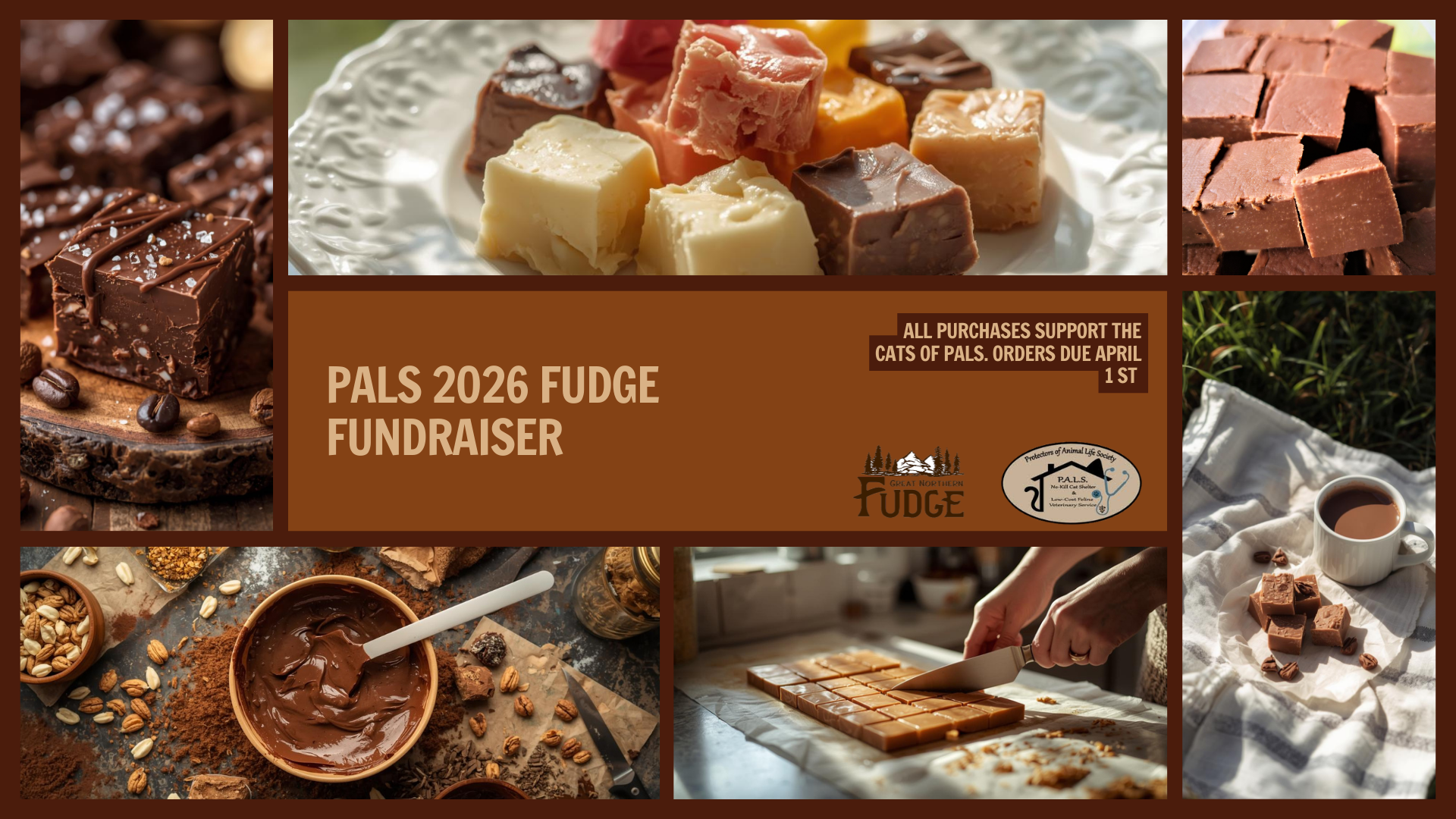 Campaign cover image for 🍫 PALS CAT SHELTER FUDGE FUNDRAISER 🍫