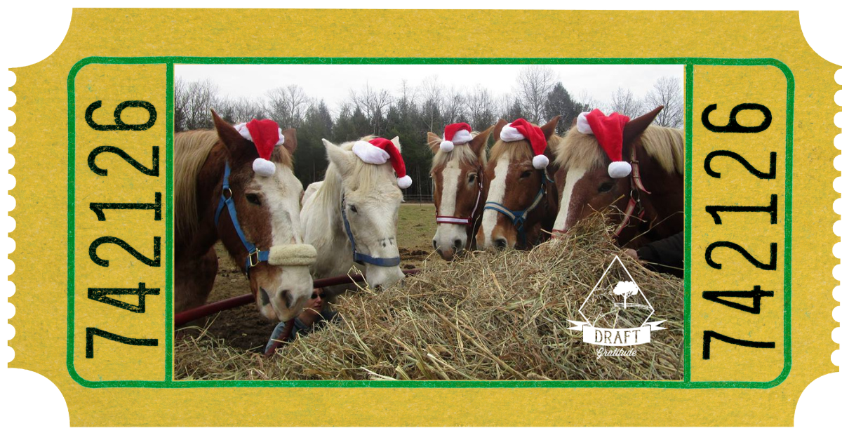 Campaign cover image for Draft Gratitude's 50-50 Raffle 2025