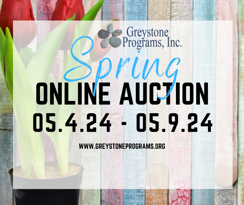 Campaign cover image for Spring Online Auction