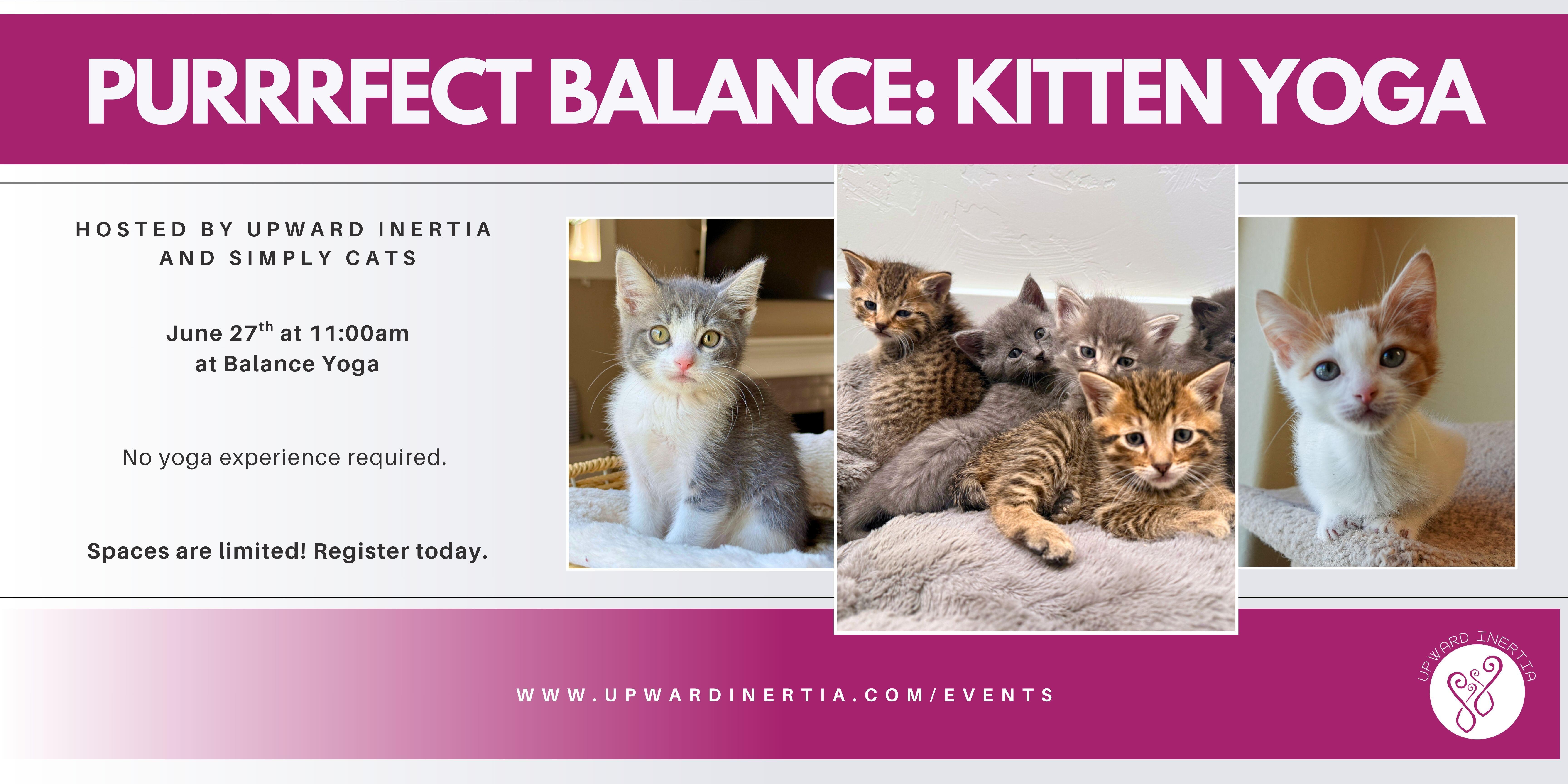 Campaign cover image for Purrrfect Balance: Kitten Yoga with Upward Inertia and Simply Cats
