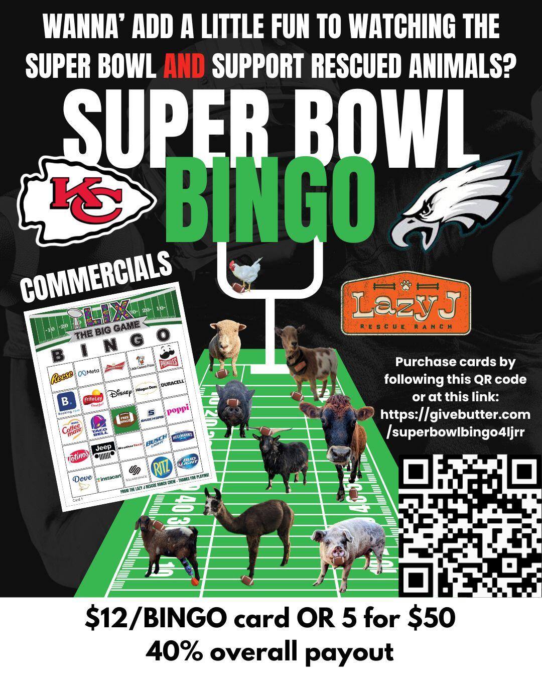 Campaign cover image for Super Bowl BINGO for Lazy J Rescue Ranch