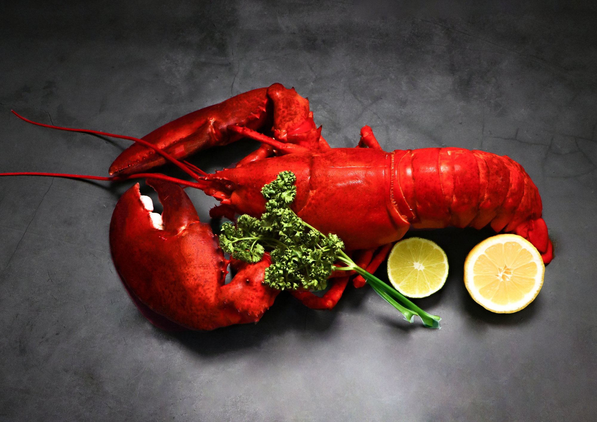 Campaign cover image for Hope House of Central Louisiana Lobster Dinner