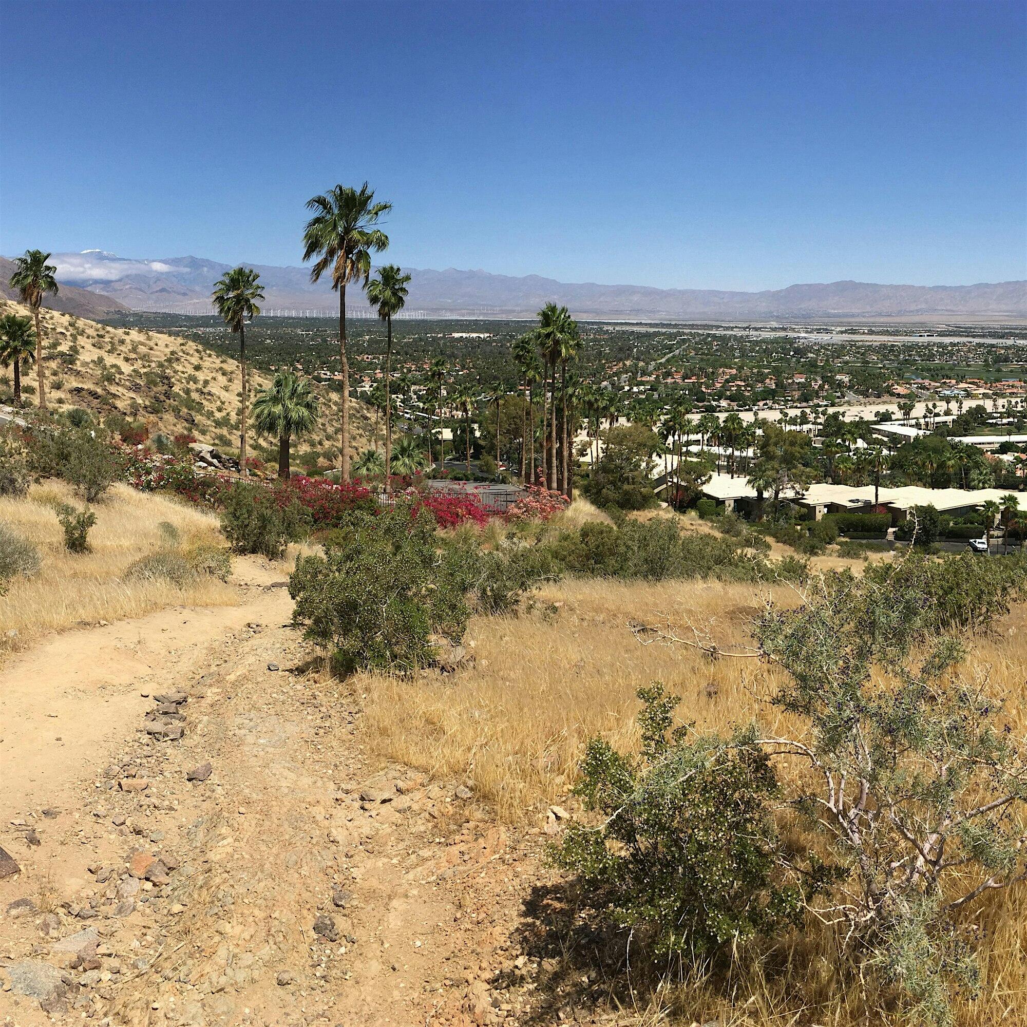 Campaign cover image for 02-24-2026 - Araby Trail