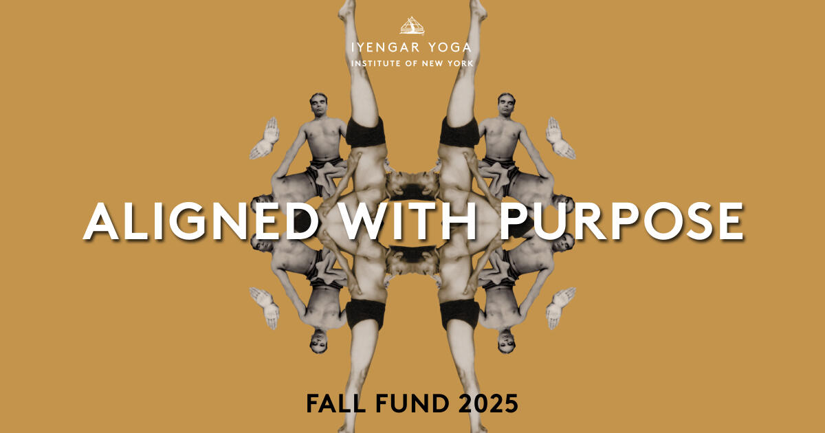Campaign cover image for IYAGNY Fall Fund 2025 - Aligned with Purpose