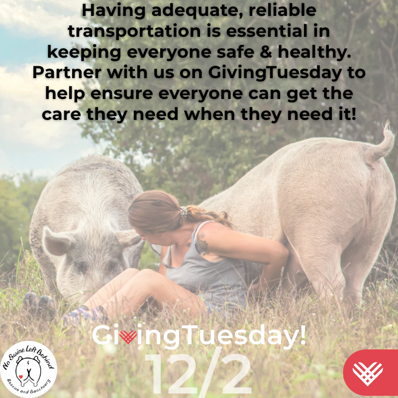 Campaign cover image for Giving Tuesday 2025