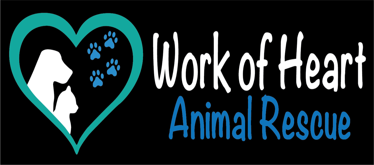 Campaign cover image for Work Of Heart Animal Rescue  Bowling Fundraiser