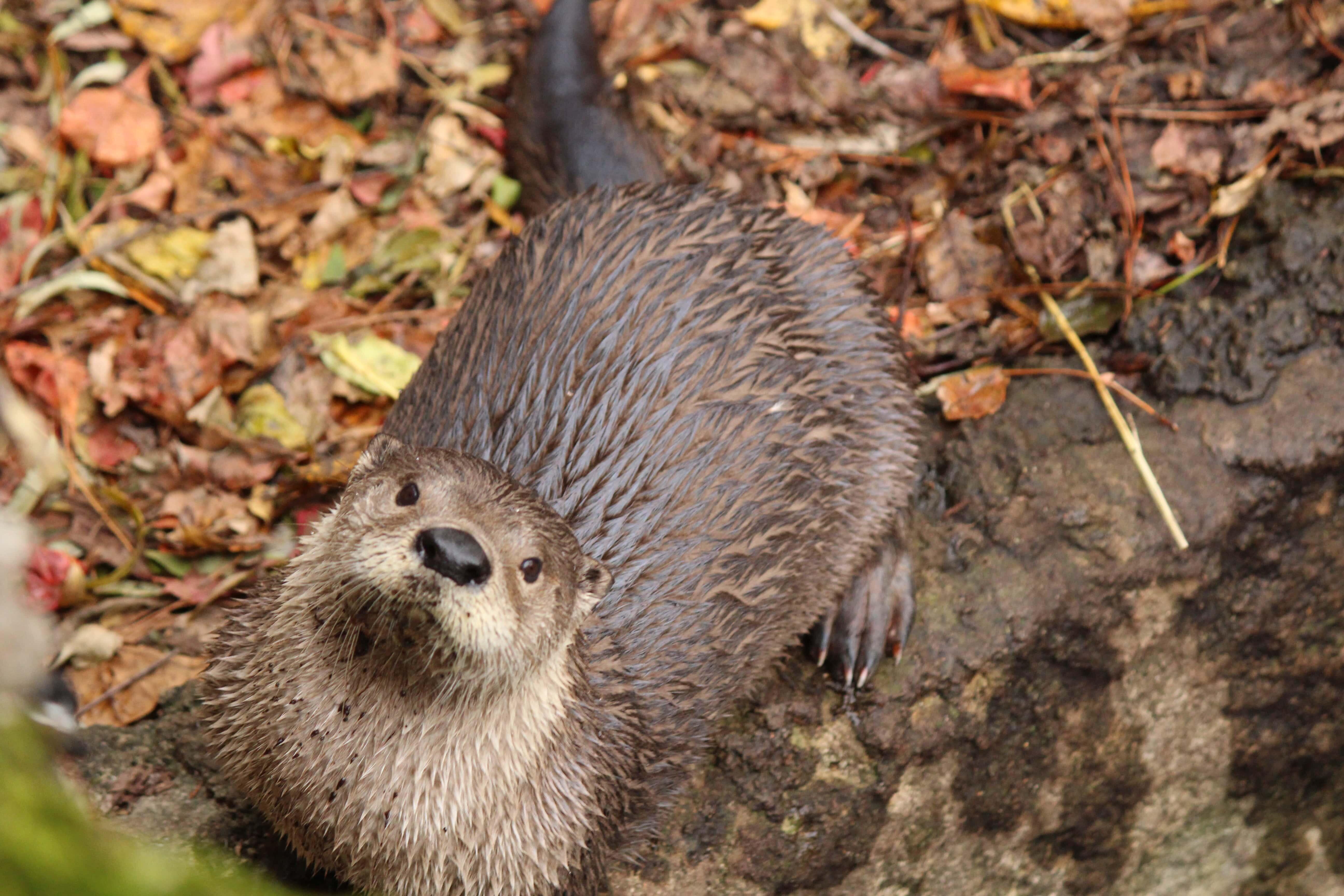 Campaign cover image for Moe's Story