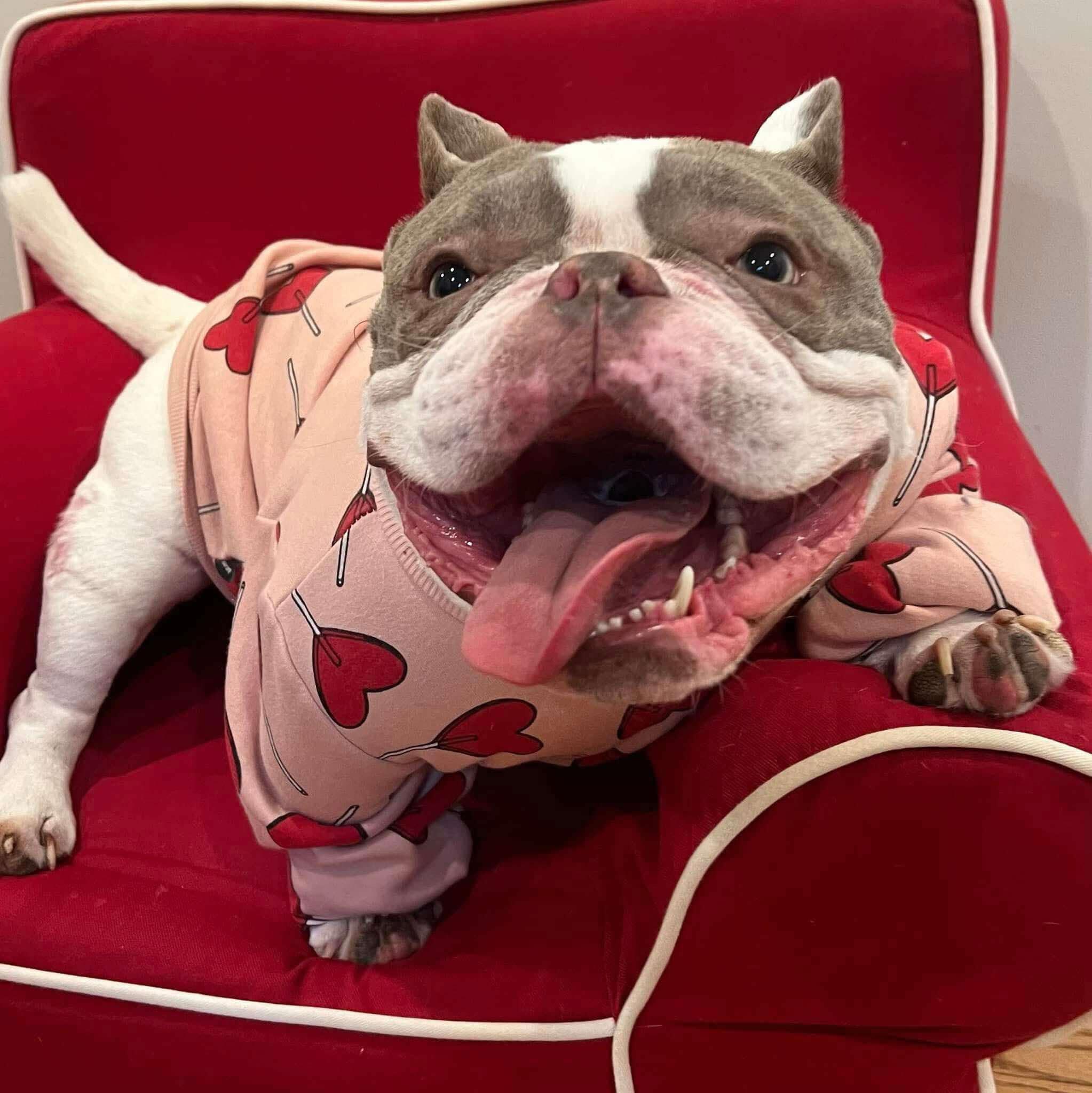 Campaign cover image for Ghost Medical