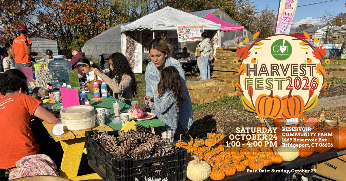Campaign cover image for GVI Harvest Fest 2026
