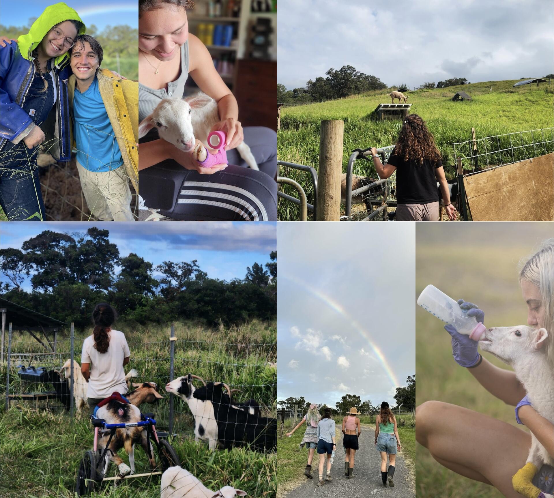 Campaign cover image for Help us Build Homes for the Hearts behind the Sanctuary!