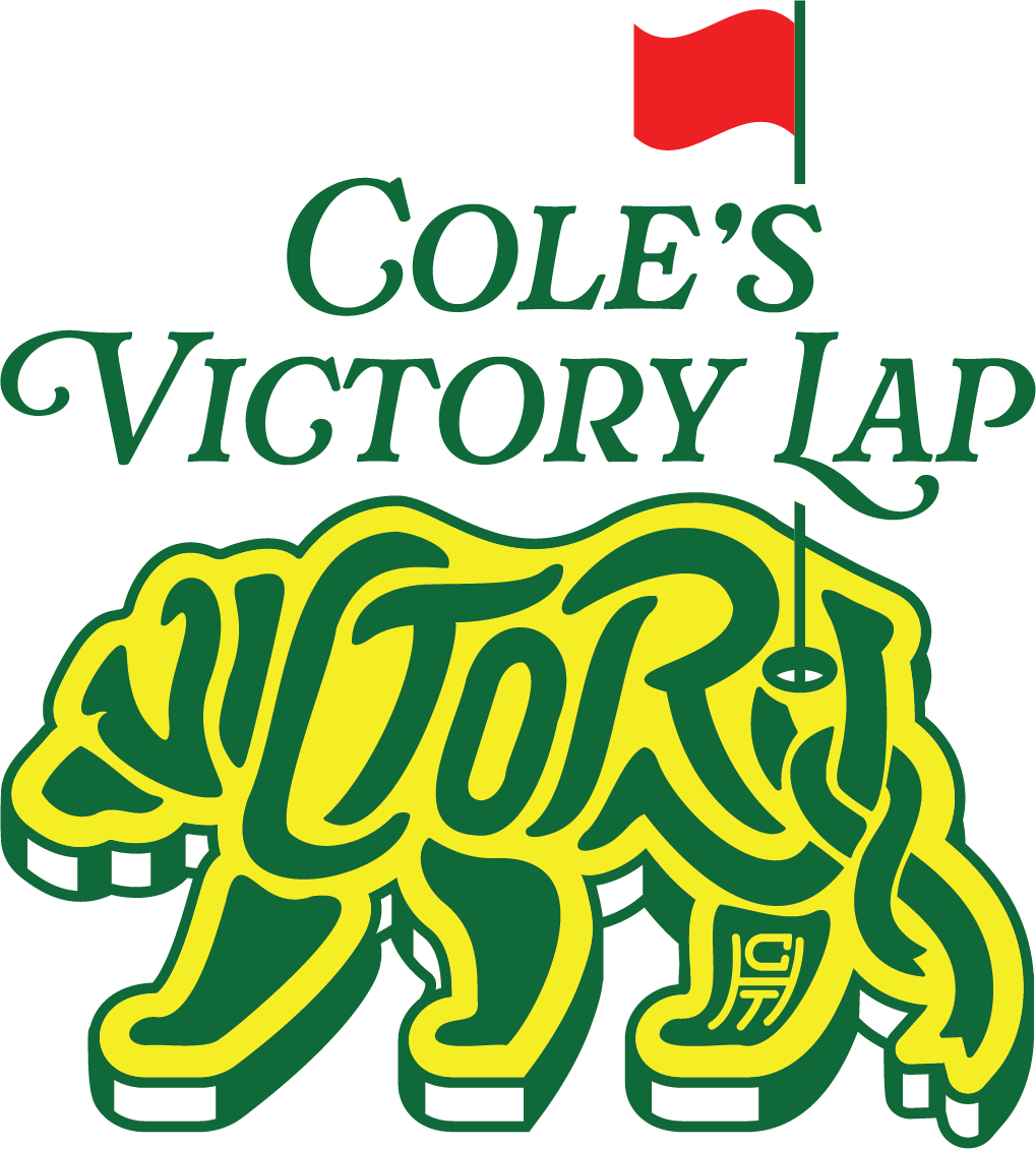 Campaign cover image for A Benefit Unlike Any Other