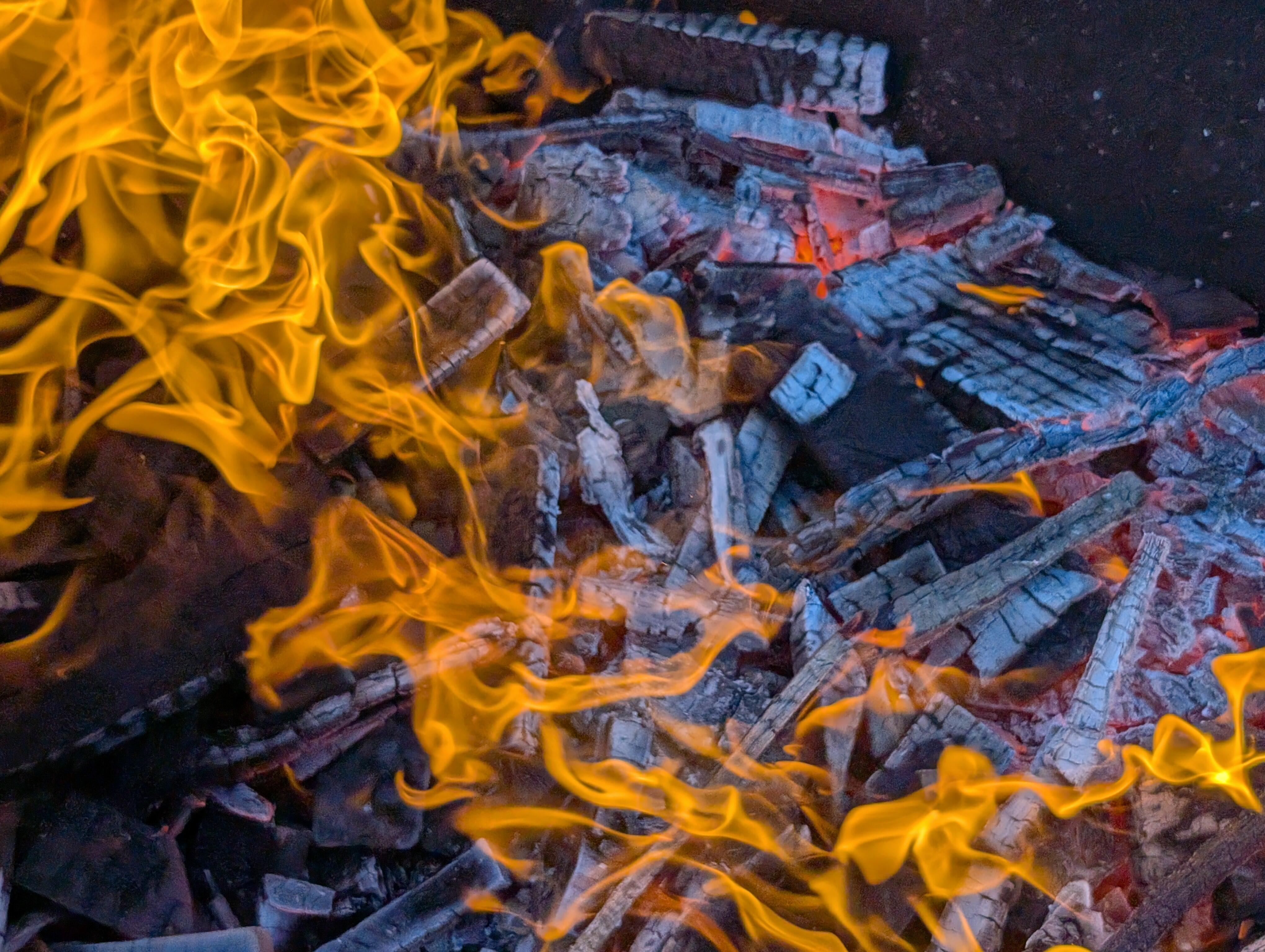 Campaign cover image for Biochar for Soil and Planet Health