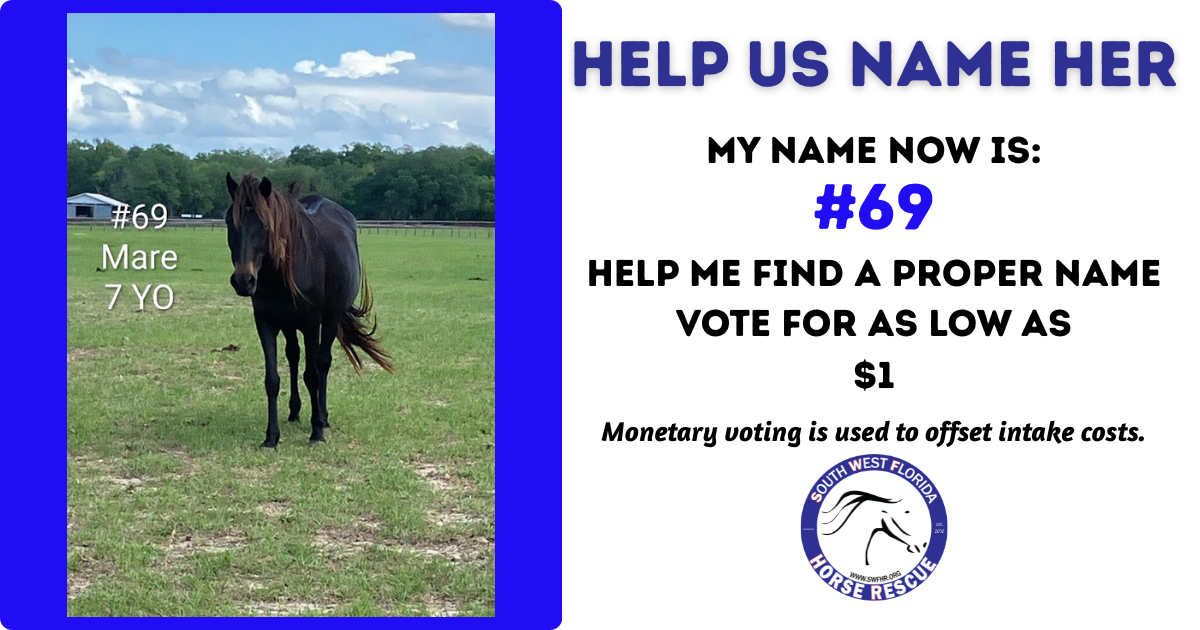 Campaign cover image for SWFHR Name Game - #69