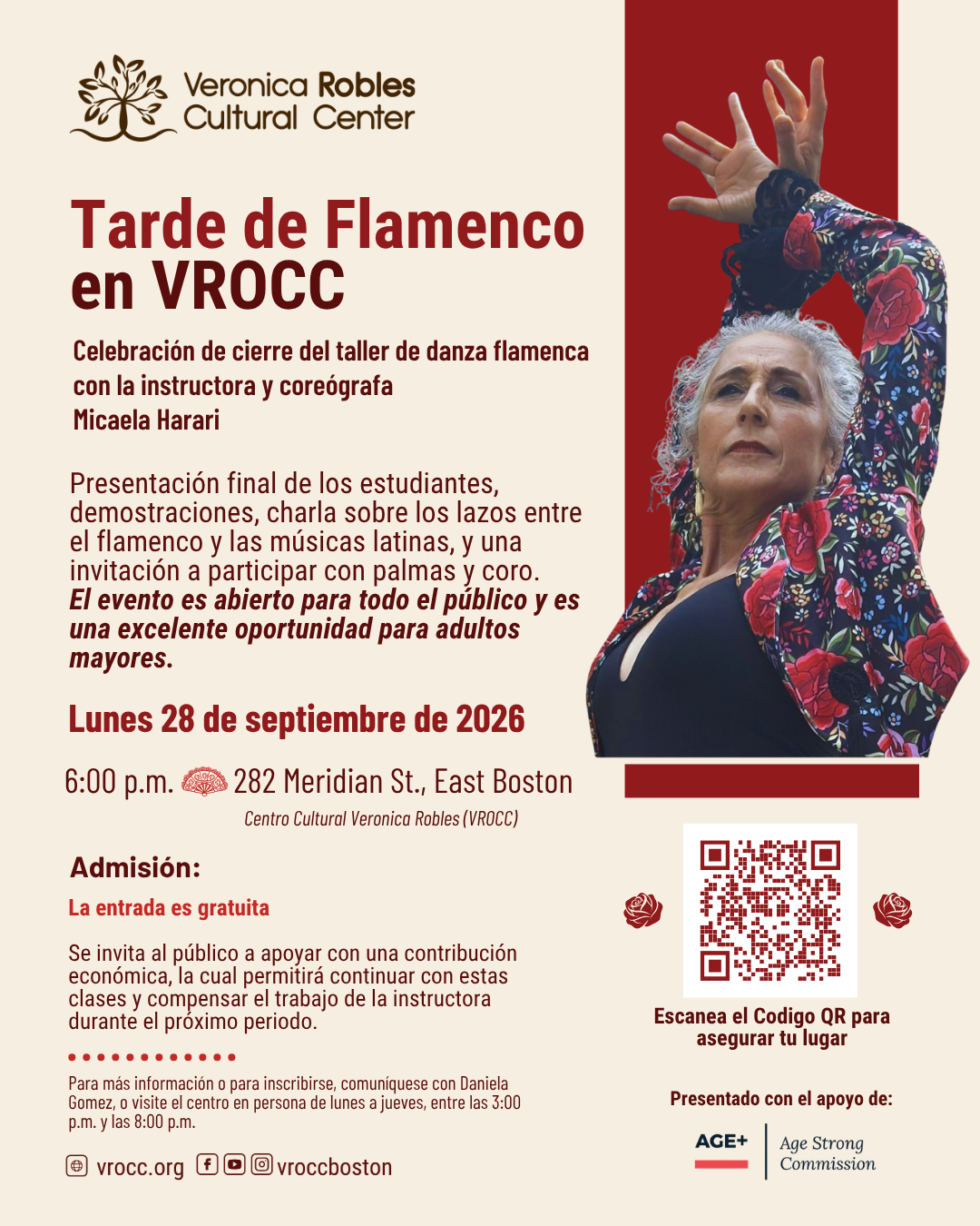 Campaign cover image for Tarde de Flamenco en VROCC