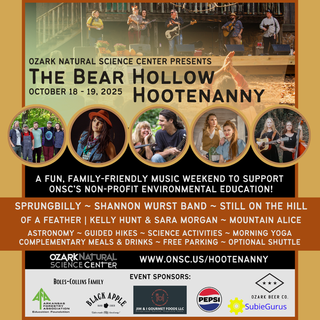 Campaign cover image for 2025 Bear Hollow Hootenanny
