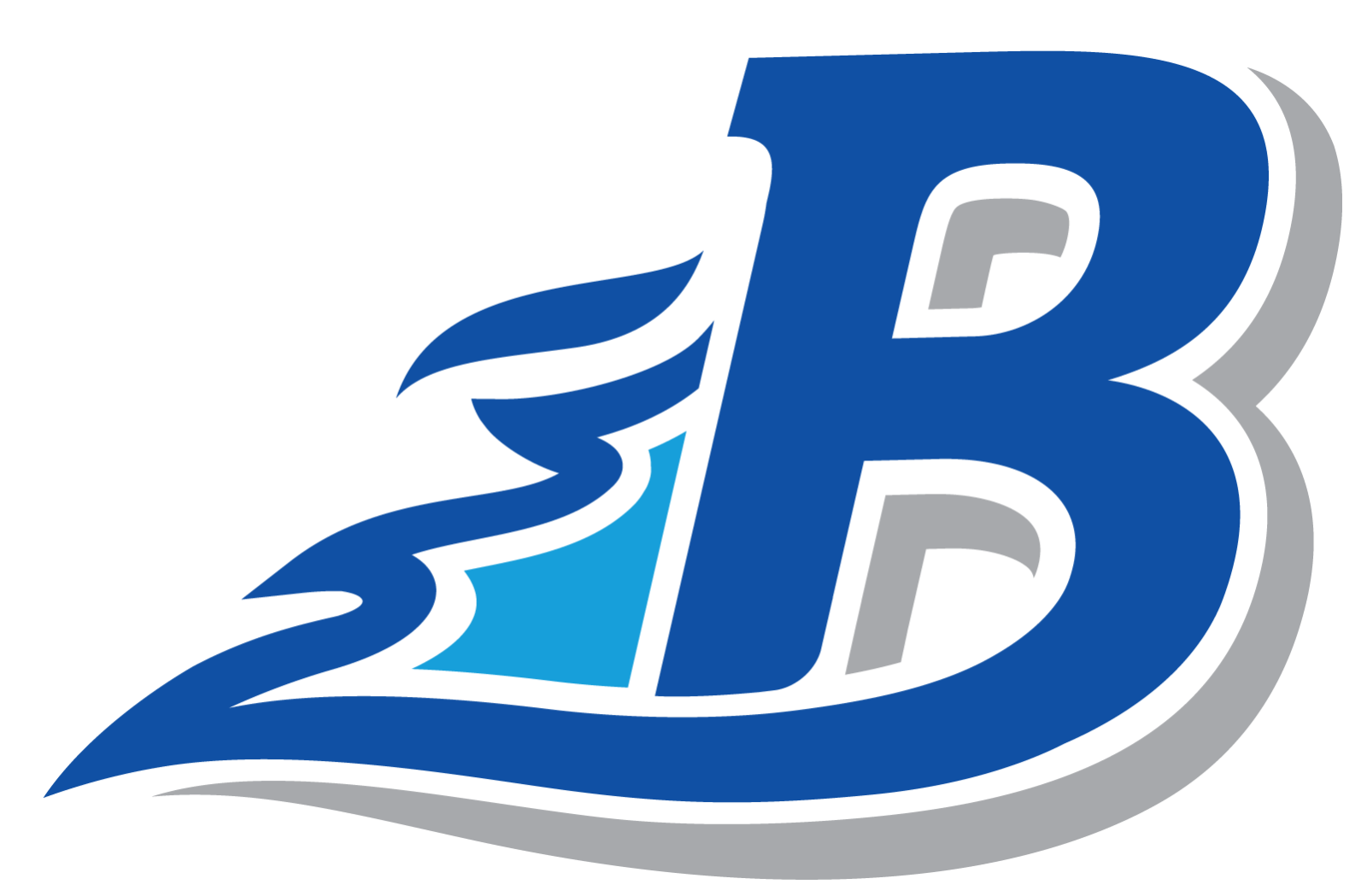 Campaign cover image for 2025 BASA VOLLEYBALL CALENDAR FUNDRAISER