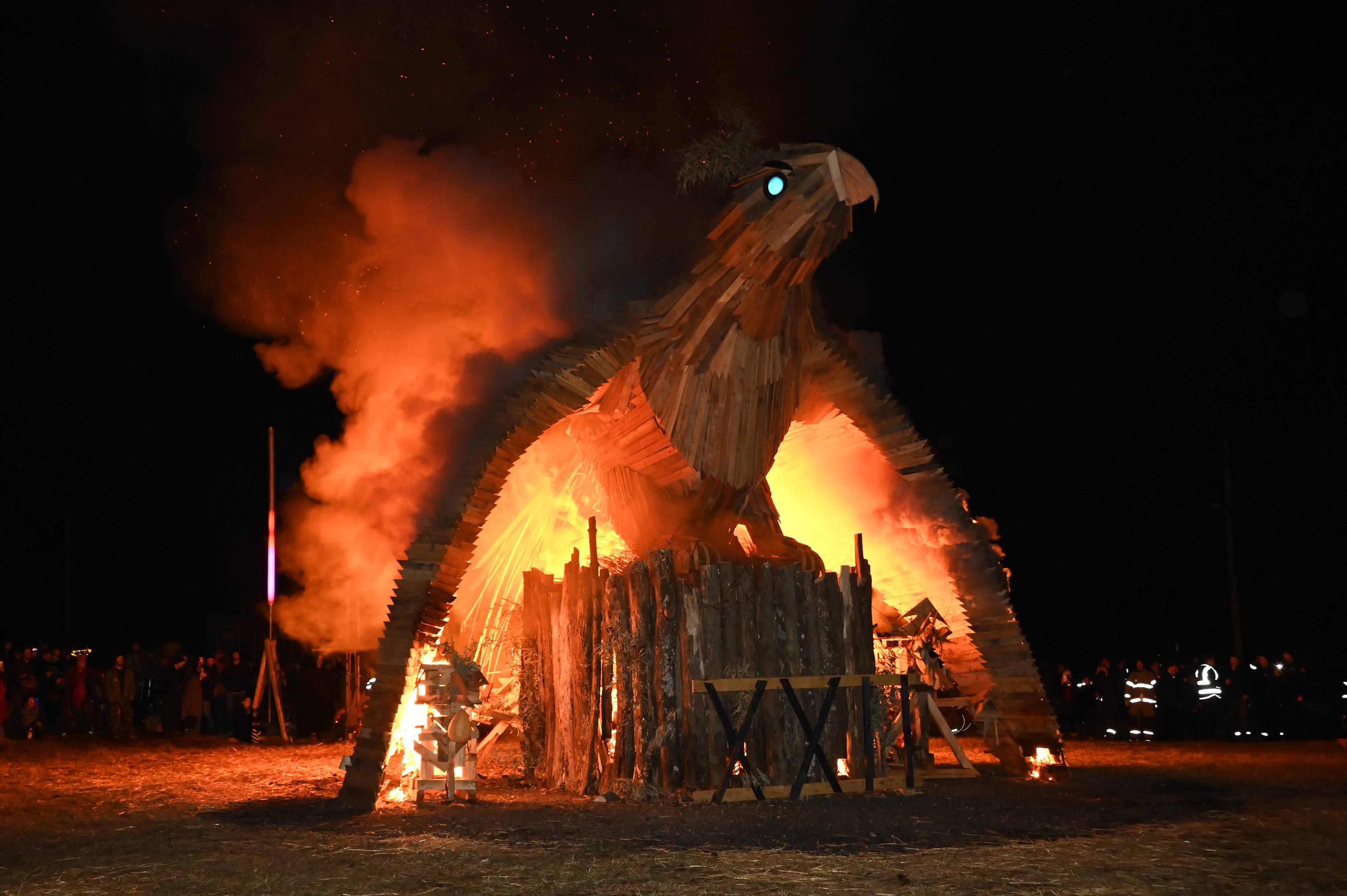 Campaign cover image for 2026 Firebird Festival - Supporter Section