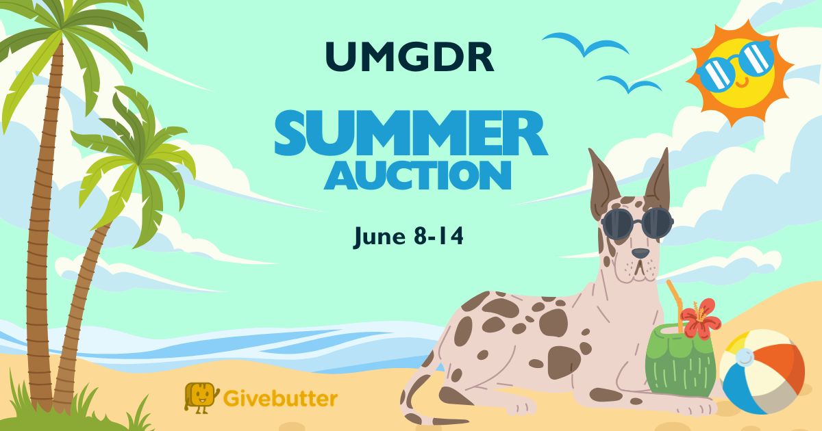 Campaign cover image for UMGDR Summer Online Auction