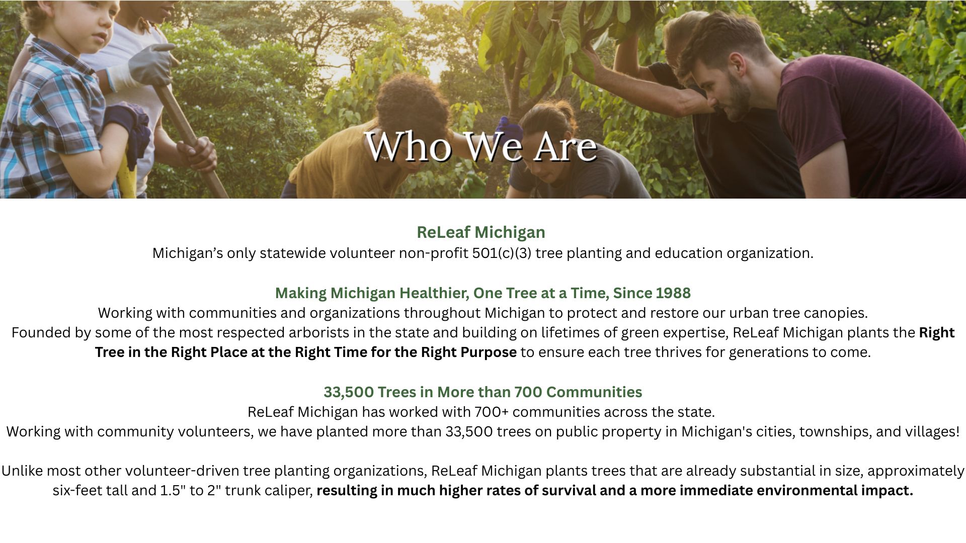 Canva custom creation