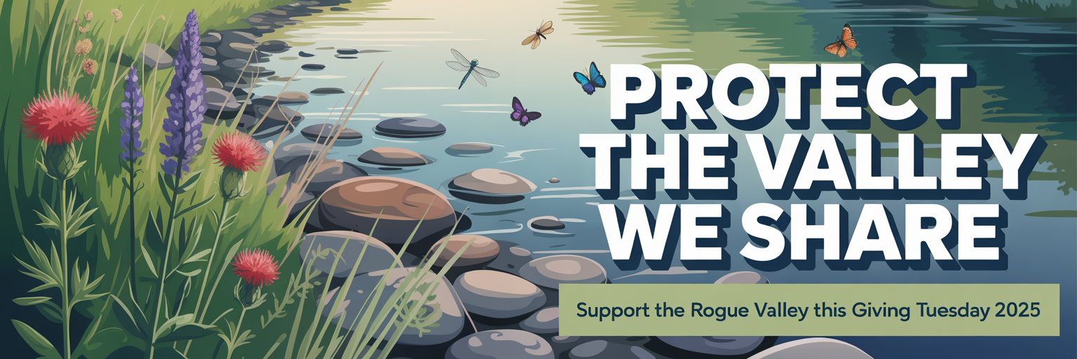 Campaign cover image for Support Rogue Advocates This #GivingTuesday 2025