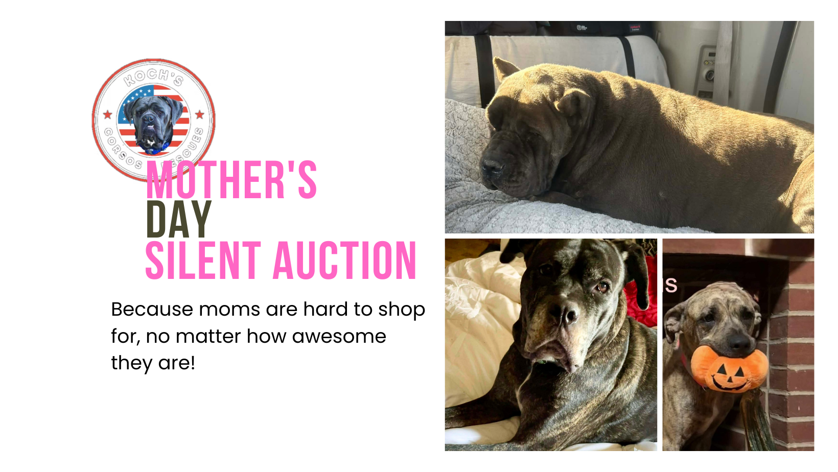 Campaign cover image for Koch's Mother's Day Silent Auction