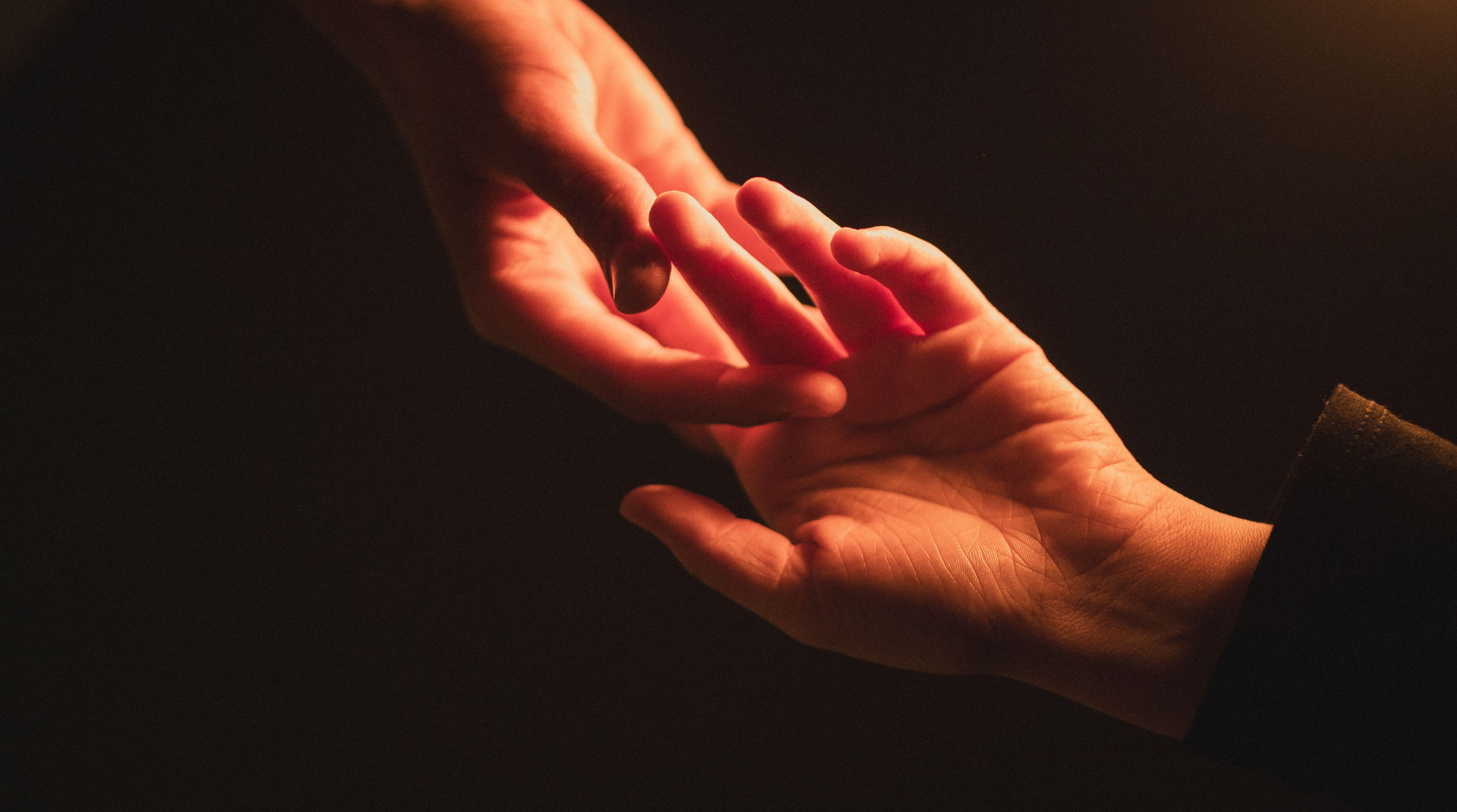 Campaign cover image for Healing Education and Lifestyle LLC