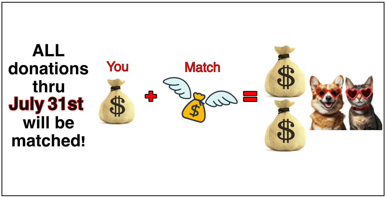Campaign cover image for Donate in July 2026 and Instantly Double Your Impact
