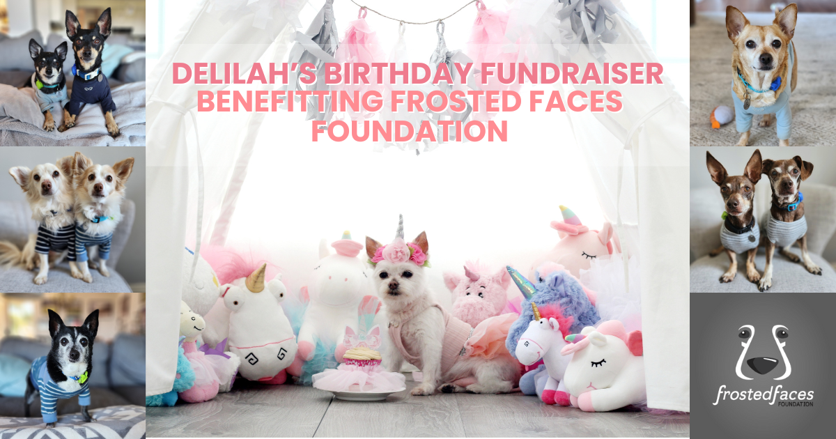 Campaign cover image for Delilah's Birthday Fundraiser - 2024