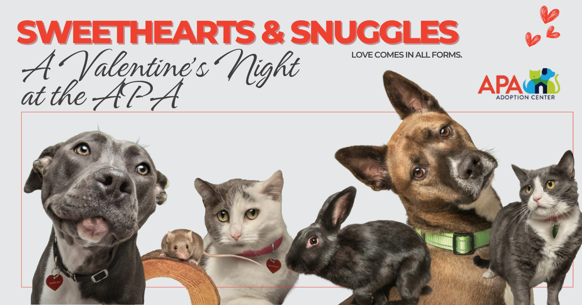Campaign cover image for Sweethearts and Snuggles 2026