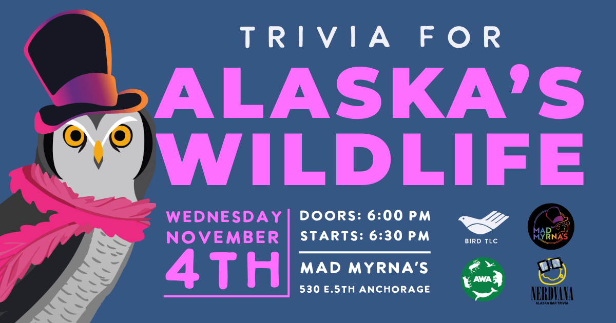 Campaign cover image for Trivia Night for Alaska's Wildlife 2026