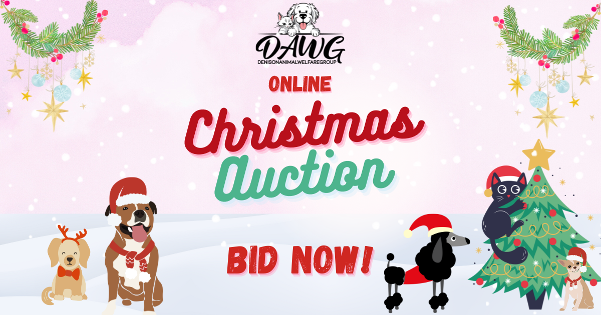 Campaign cover image for 2025 Christmas Auction