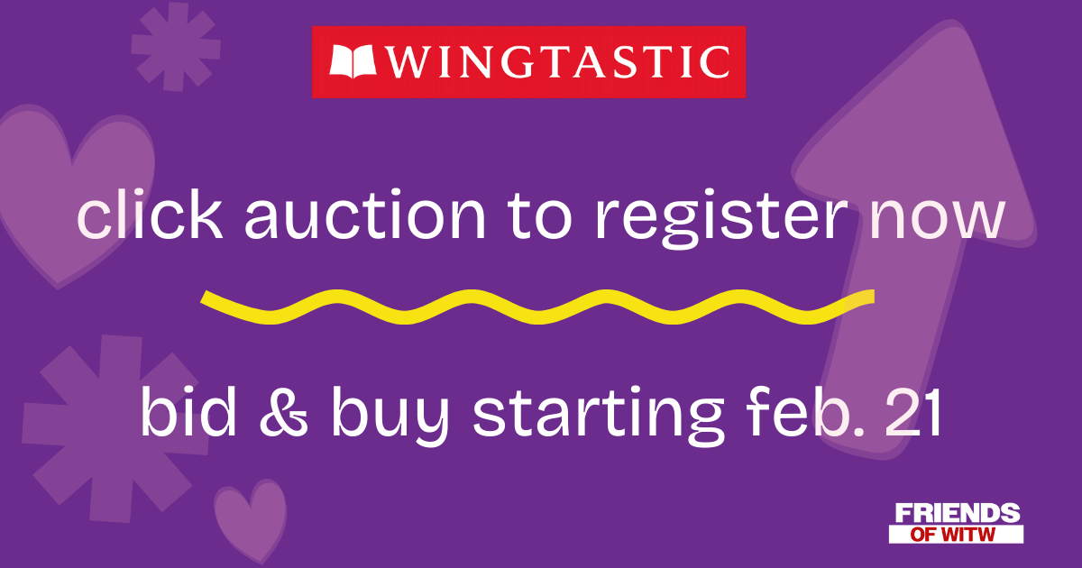 Campaign cover image for Wingtastic Book Fair