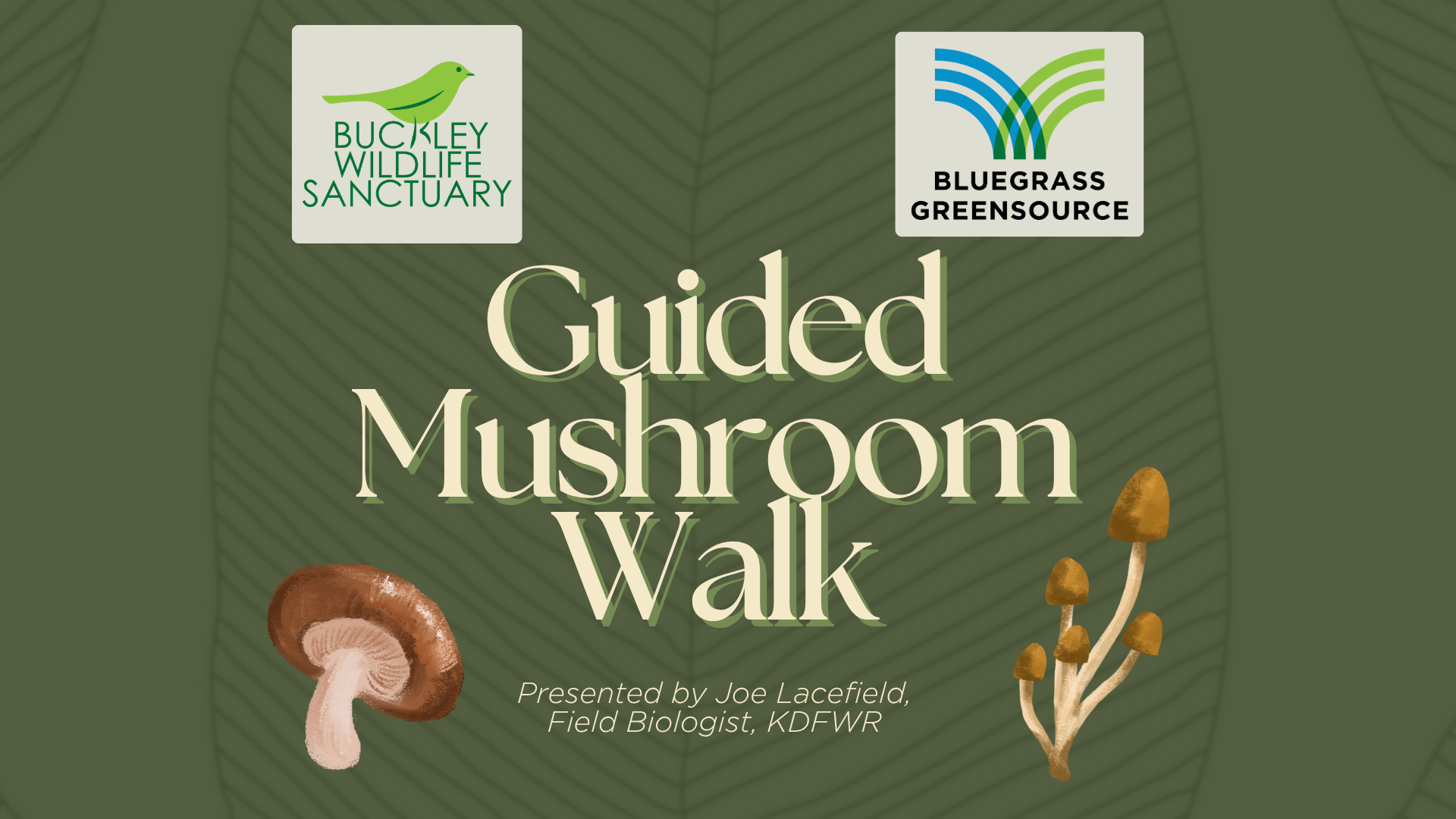 Campaign cover image for Buckley Guided Mushroom Walk