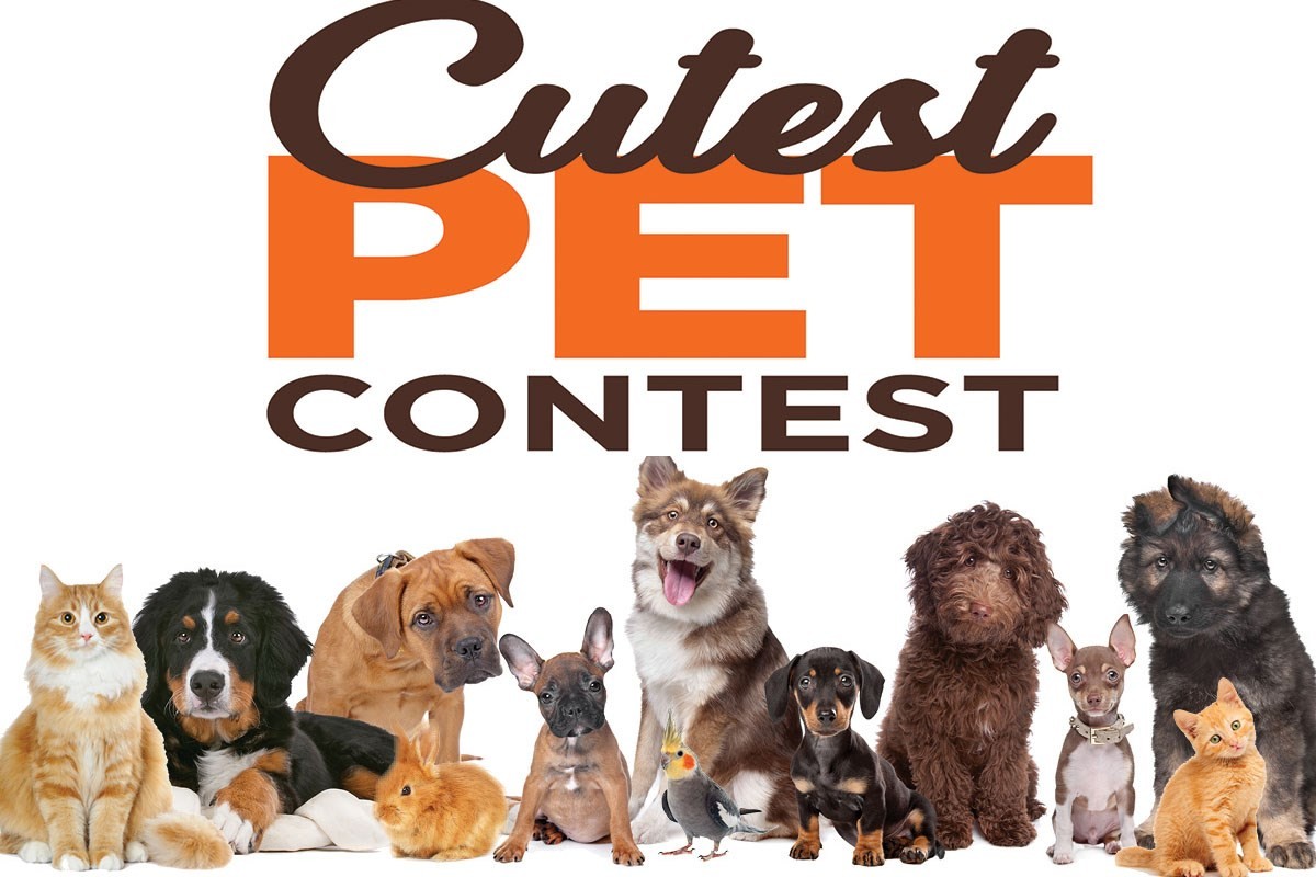 Campaign cover image for Cutest Pet Photo Contest